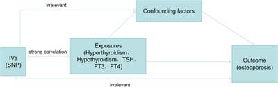 Hypothyroidism correlates with osteoporosis: potential involvement of lipid mediators